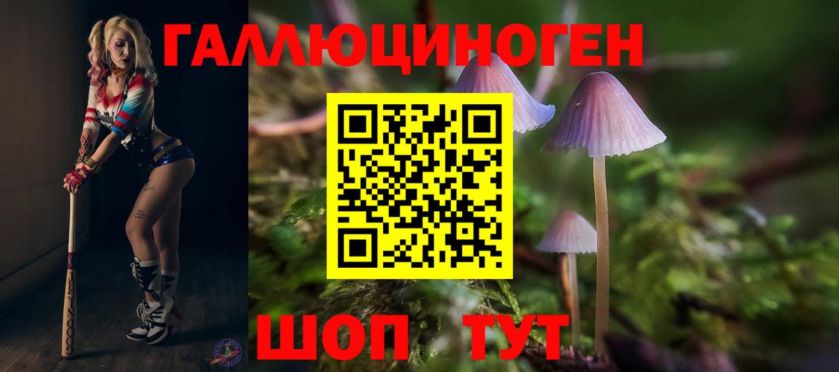 Галлюциногенные грибы Cubensis  Вход с VPN  Ишимбай  Псилоцибиновые грибы Psilocybine cubensis 